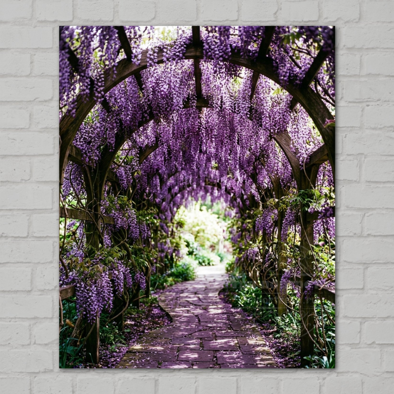 Wisteria — лиловый водопад